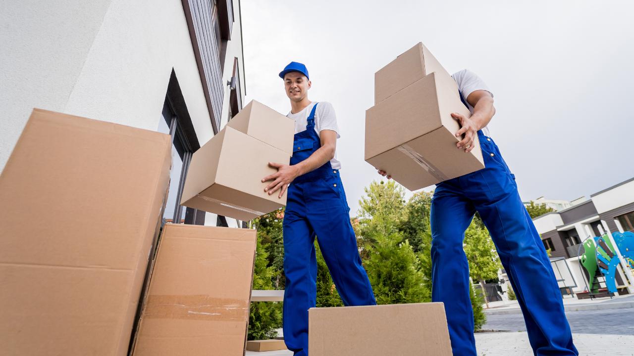 Movers carrying boxes — part of the cheapest way to move furniture across Canada