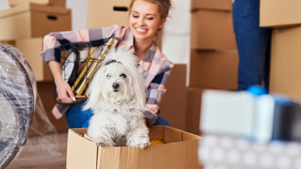 emergency moving services
